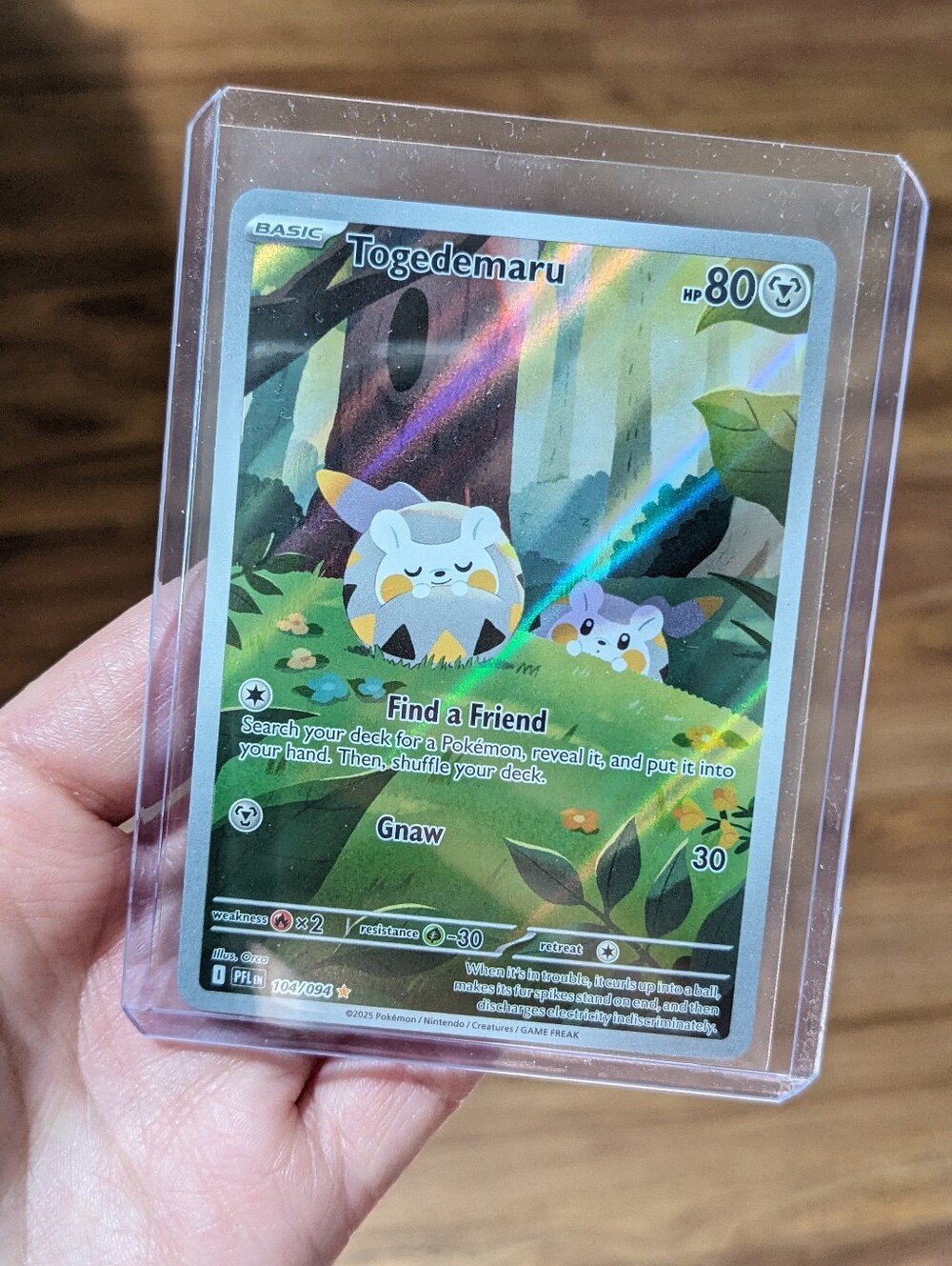 Pokemon Togedemaru 104 Phantasmal Flames Pokemon Card Holo